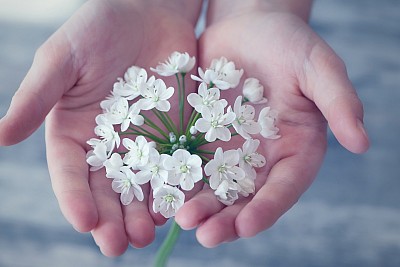 Japanische Zen Massage, Massage in Kappeln