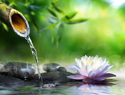 #Massage, #Kappeln, #Massage in Kappeln, #REIKI in Germany, REIKI mit Massage, #REIKI in Kappeln,