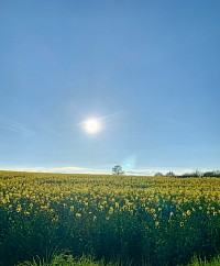 #Spezial Programm, #massage in kappeln, #japanische zen-massage