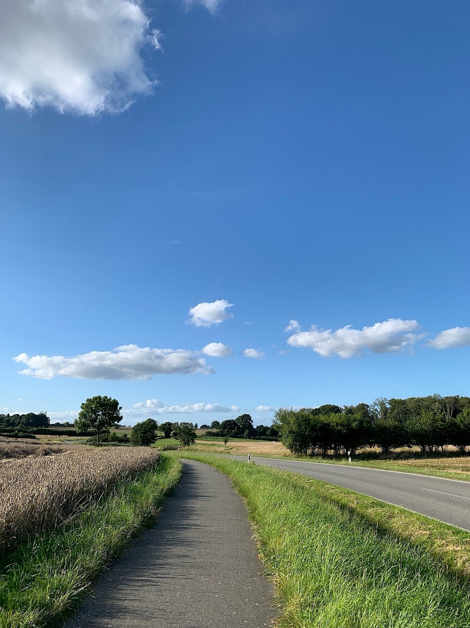 Mein Spaziergang in Kappeln✨