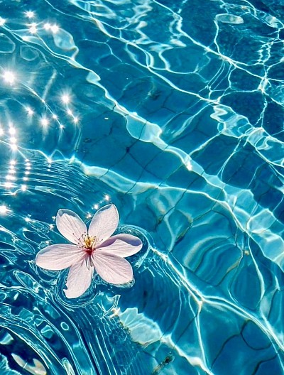 Oceanic Massage, Massage in Kappeln, Relaxation Massage